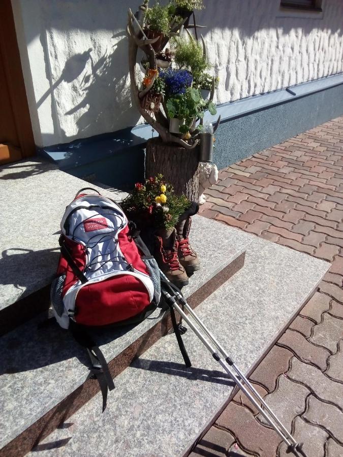 Haus Hoeller Kleinarl Kültér fotó